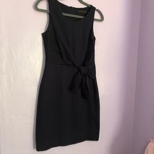 | The Limited | Cute Side Bow Tie Dress